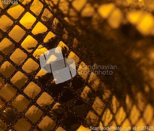 Image of sequined back