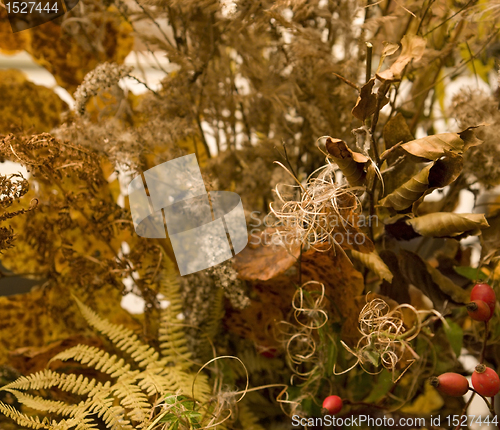 Image of autumn background