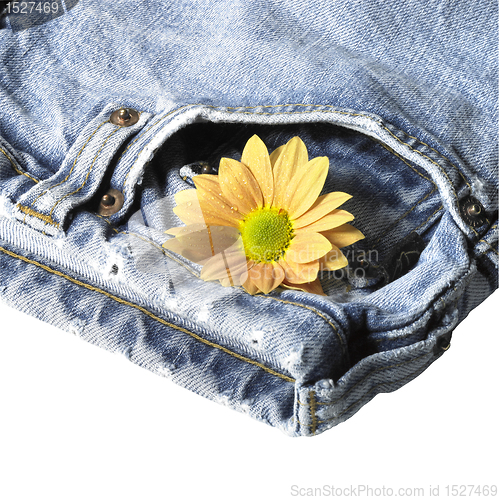 Image of pair of blue jeans and flower