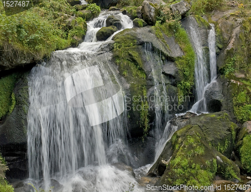 Image of idyllic Triberg Waterfalls