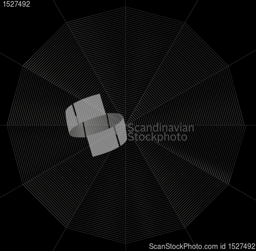 Image of frontal spiderweb illustration