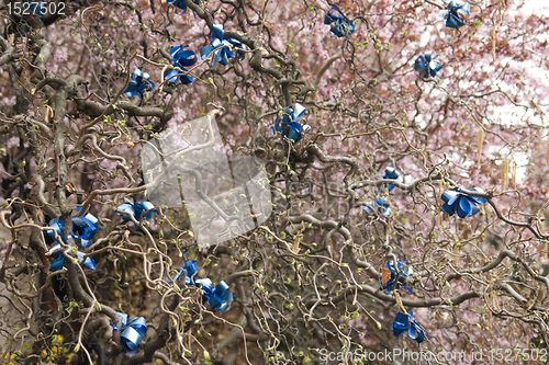 Image of decorated hazel abstract