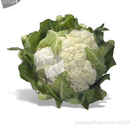 Image of isolated cauliflower