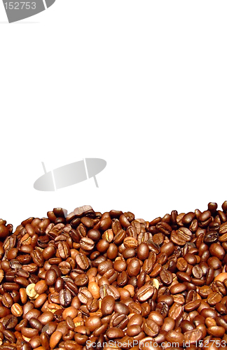 Image of Coffee beans