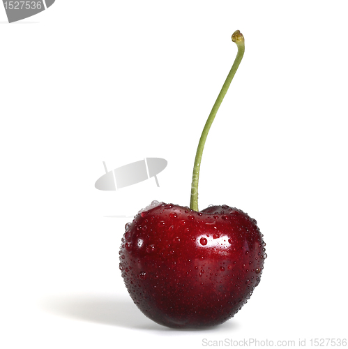 Image of red cherry with dewdrops