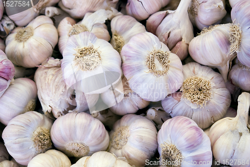 Image of full frame garlic background