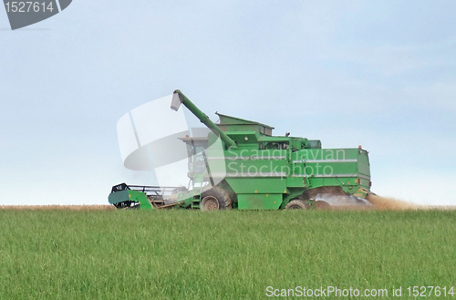 Image of harvesting harvester on a crop field