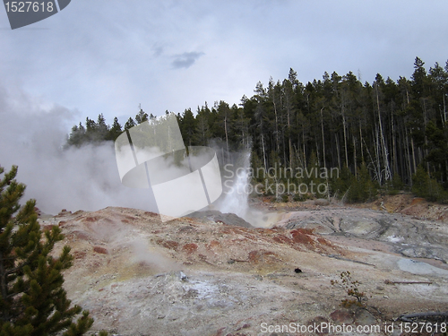 Image of geyser in the Yellowstone National Park