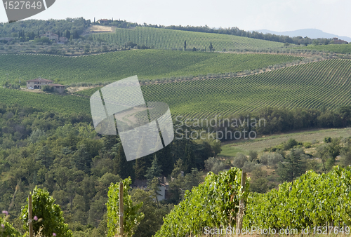 Image of Chianti in Tuscany