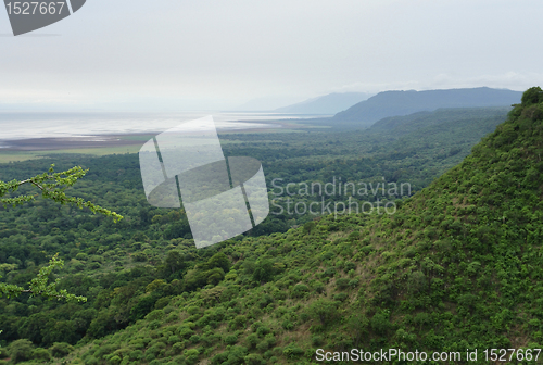 Image of Lake Manyara National Park in Africa