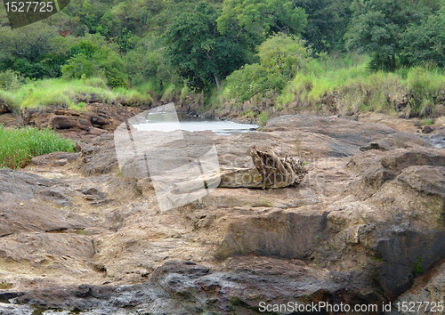 Image of around Murchison Falls in Africa