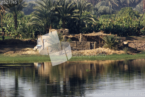 Image of River Nile scenery between Aswan and Luxor