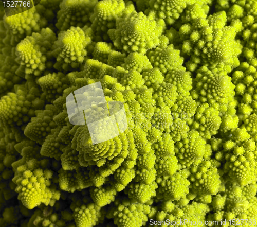 Image of abstract romanesco cauliflower