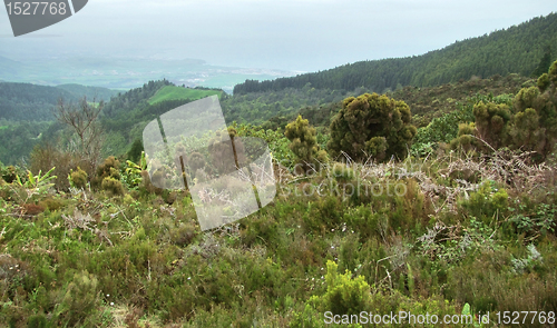 Image of landscape at the Azores