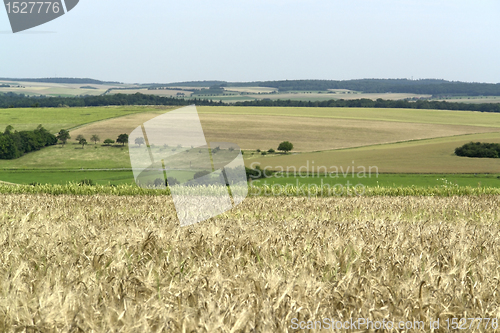 Image of rural pictorial agriculture scenery at summer time