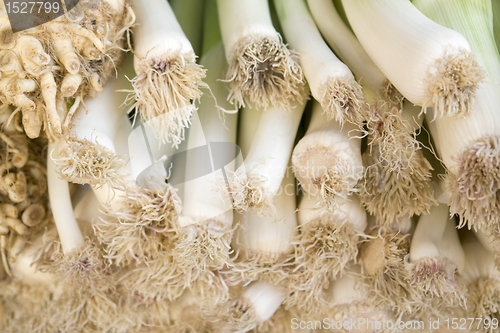 Image of leek and celery detail