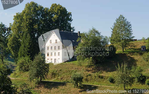 Image of Black Forest scenery in sunny ambiance