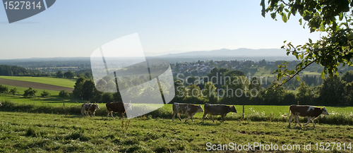 Image of idyllic scenery around Emmendingen