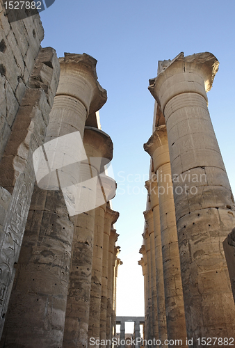 Image of columns at Luxor Temple in Egypt