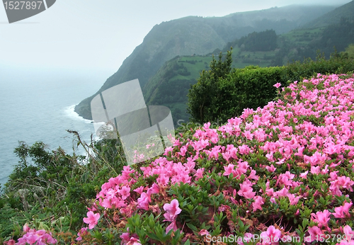 Image of misty coastal scenery at the Azores