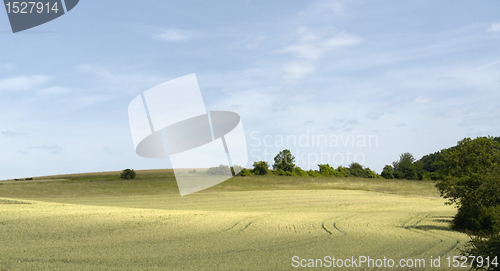 Image of rural pictorial agriculture scenery at summer time