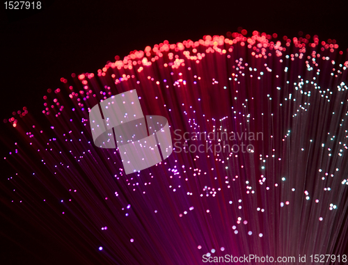 Image of plastic optical fibers