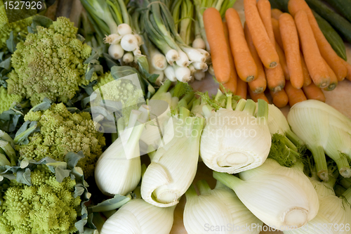 Image of various fresh vegetables