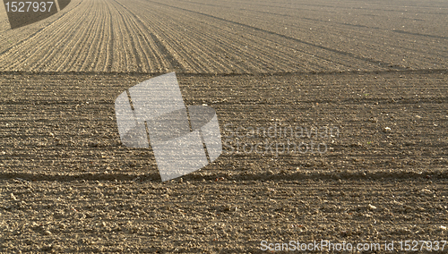 Image of plowed acre