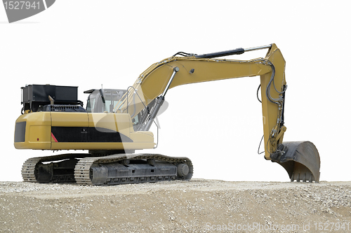 Image of relaxed yellow digger