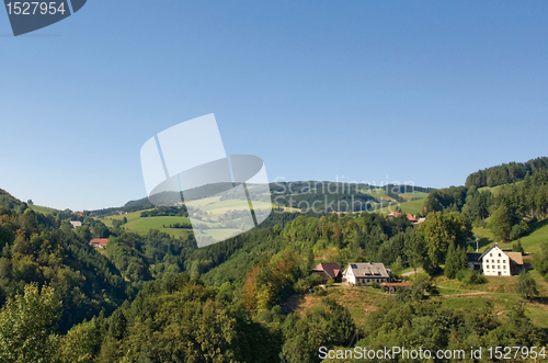 Image of peaceful Black Forest scenery