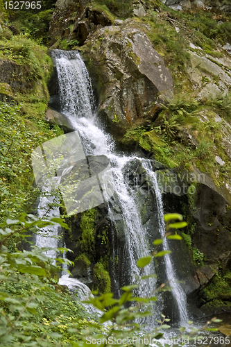 Image of idyllic Triberg Waterfalls