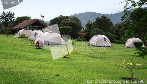 Image of camping in the Rwenzori Mountains