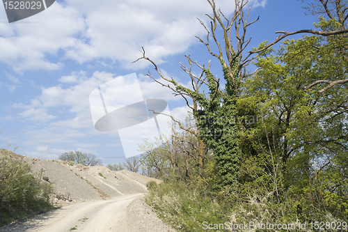 Image of sunny scenery near stone pit