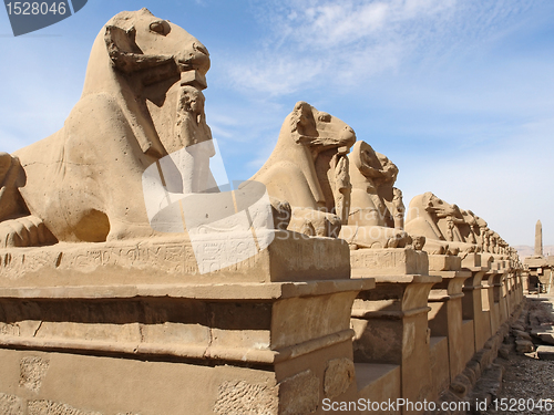 Image of sculptures at Precinct of Amun-Re in Egypt