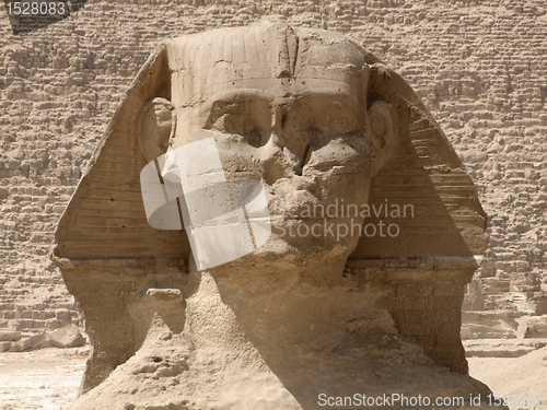 Image of frontal Sphinx detail