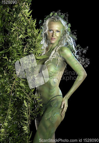 Image of dryad