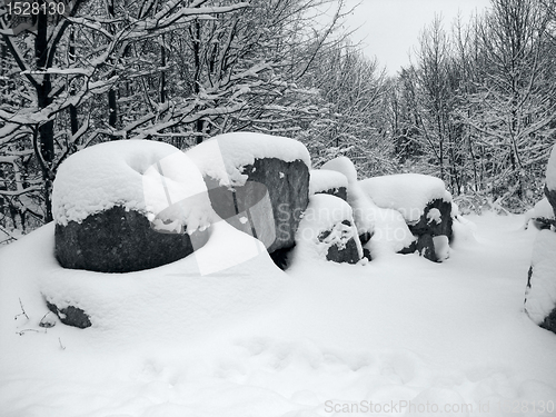 Image of snow covered landscape and stones