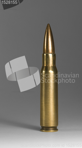 Image of upright metallic ammunition in grey back