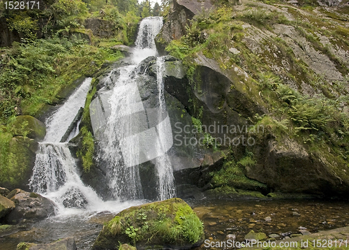 Image of idyllic Triberg Waterfalls