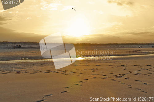 Image of Crane Beach illuminated by the evening sun
