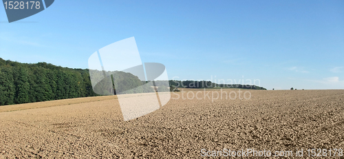 Image of agricultural scenery