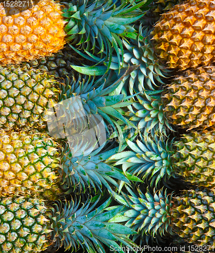 Image of Pineapples.