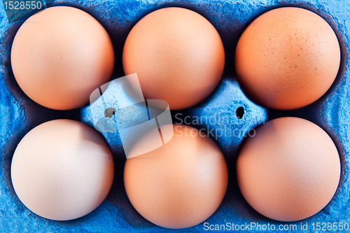 Image of Eggs in carton