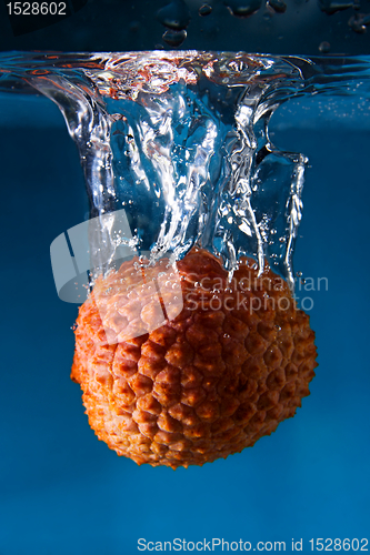 Image of Litchi falling into the water