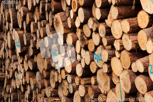 Image of Pile of wood