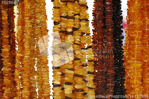 Image of Amber Necklaces