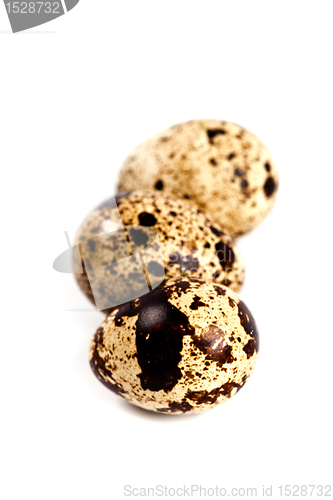 Image of three quail eggs