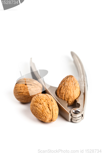 Image of three walnuts and nutcracker 