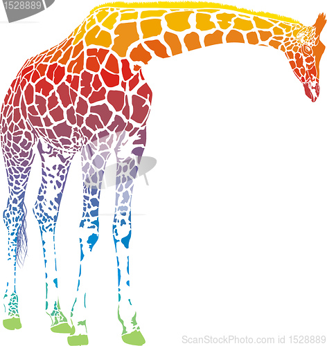 Image of rainbow giraffe vector