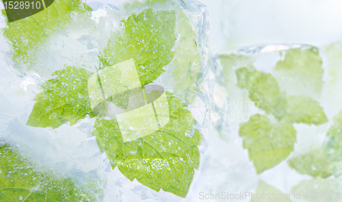 Image of ice mint